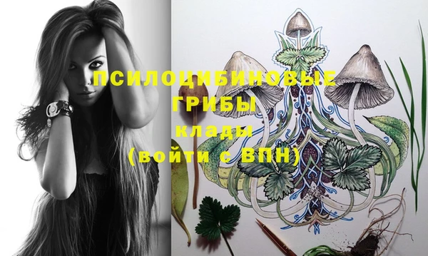 индика Алексеевка